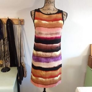 Beautiful Ann Taylor 6P Watercolor Holiday Dress